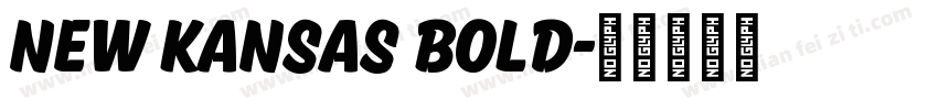 New Kansas Bold字体转换
